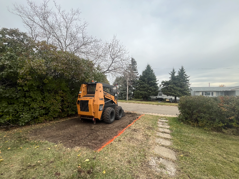 Yard Reclamation
